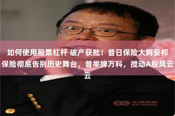 如何使用股票杠杆 破产获批！昔日保险大鳄安邦保险彻底告别历史舞台，曾举牌万科，搅动A股风云