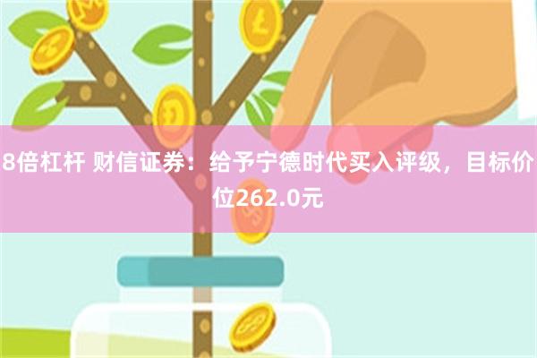 8倍杠杆 财信证券：给予宁德时代买入评级，目标价位262.0元