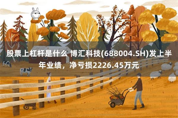 股票上杠杆是什么 博汇科技(688004.SH)发上半年业绩，净亏损2226.45万元