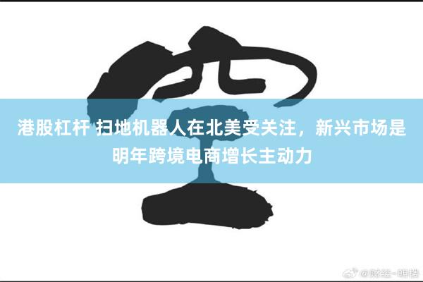 港股杠杆 扫地机器人在北美受关注，新兴市场是明年跨境电商增长主动力