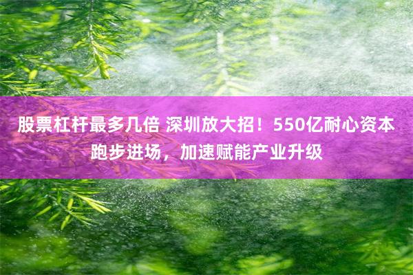 股票杠杆最多几倍 深圳放大招！550亿耐心资本跑步进场，加速赋能产业升级