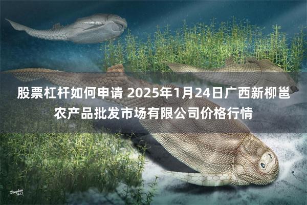 股票杠杆如何申请 2025年1月24日广西新柳邕农产品批发市场有限公司价格行情