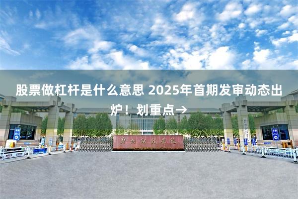 股票做杠杆是什么意思 2025年首期发审动态出炉！划重点→