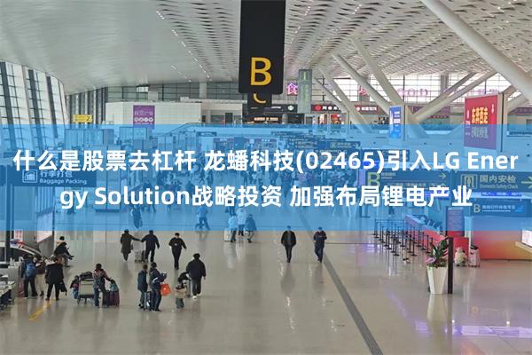 什么是股票去杠杆 龙蟠科技(02465)引入LG Energy Solution战略投资 加强布局锂电产业