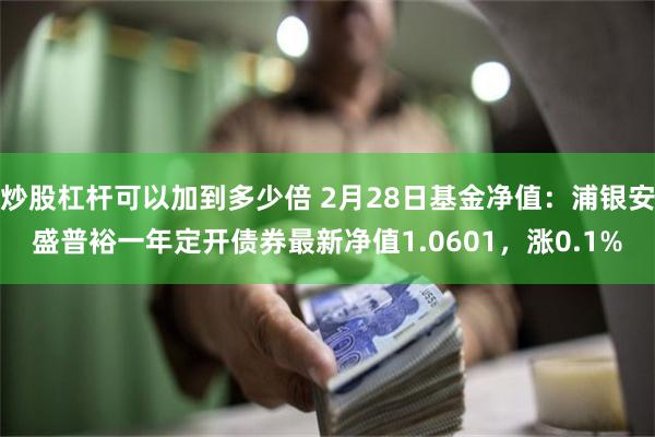 炒股杠杆可以加到多少倍 2月28日基金净值：浦银安盛普裕一年定开债券最新净值1.0601，涨0.1%